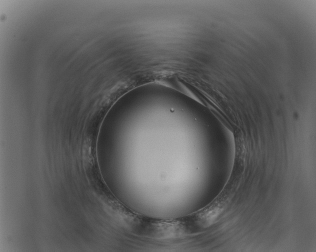 X0000073930615200608181116