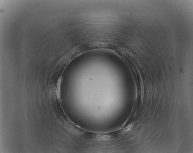 X0000073930617200608181116