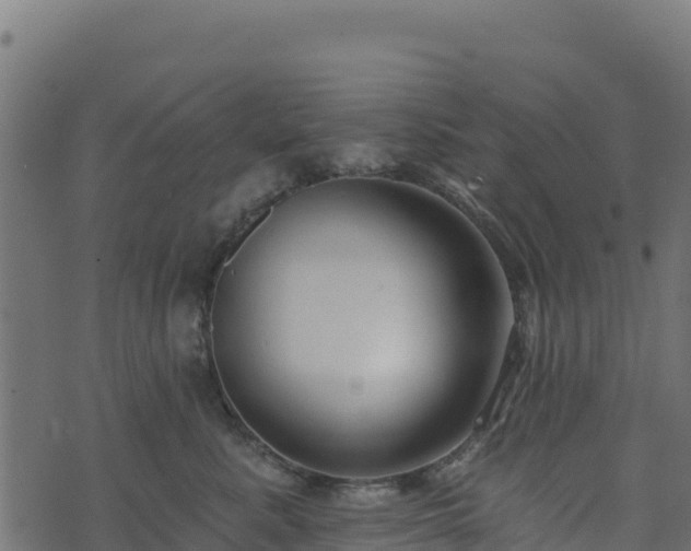 X0000073930619200608181116