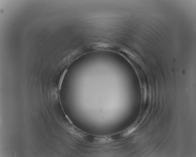 X0000073930621200608181116