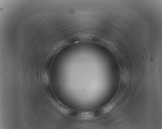 X0000073930622200608181116