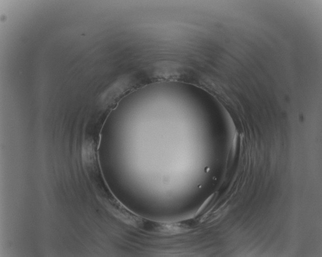 X0000073930623200608181116