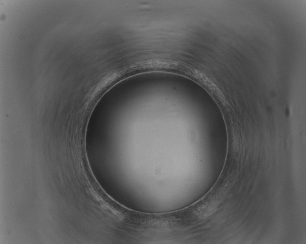 X0000073930625200608181115