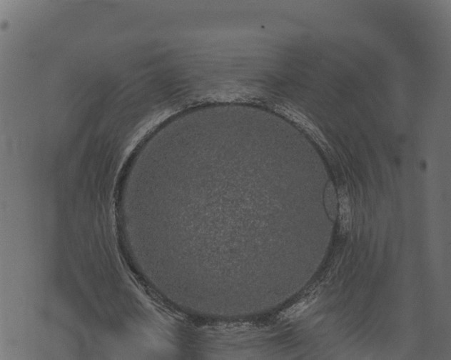 X0000073930626200608181115