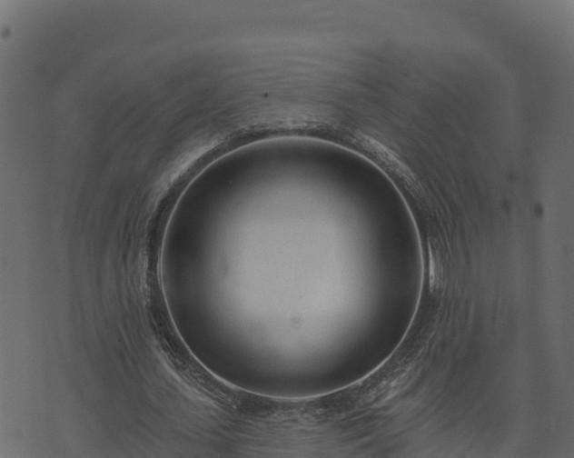 X0000073930627200608181115