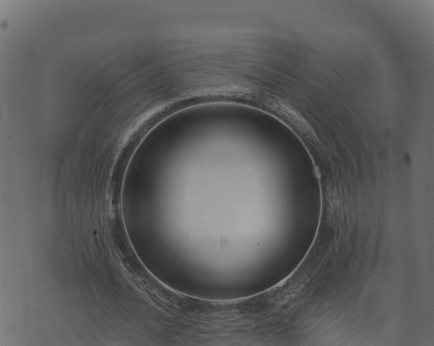 X0000073930628200608181115