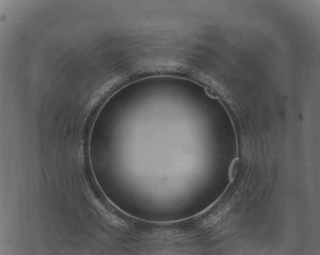 X0000073930629200608181115