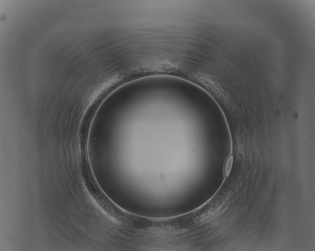 X0000073930630200608181115