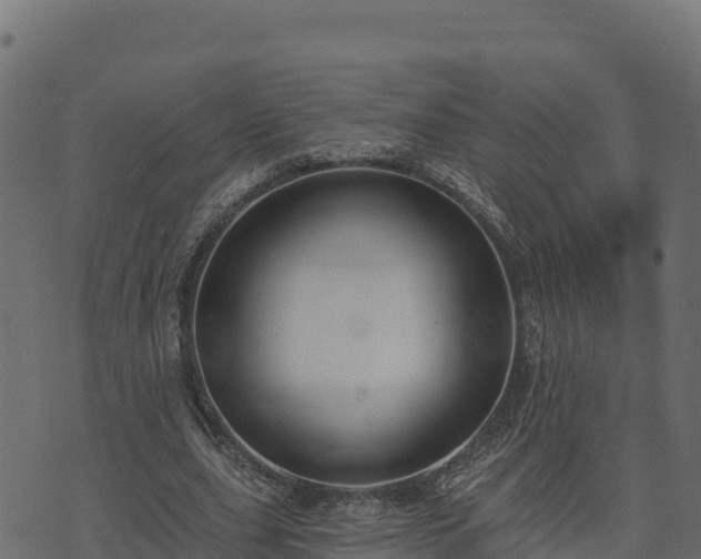 X0000073930631200608181115