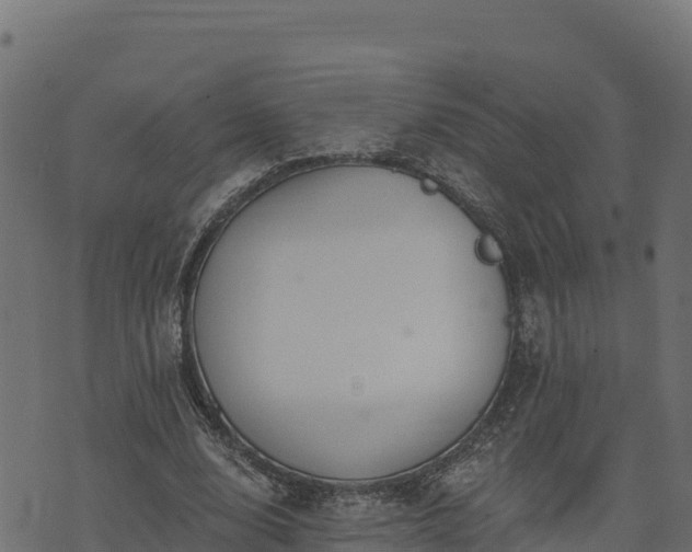 X0000073930632200608181115