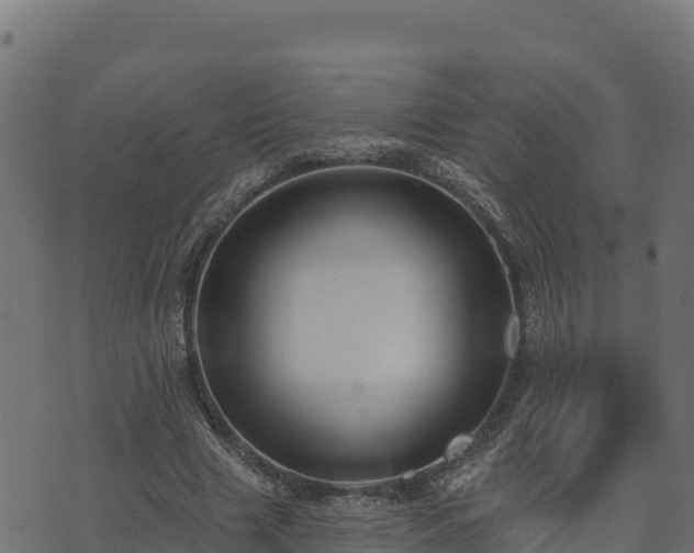 X0000073930633200608181115