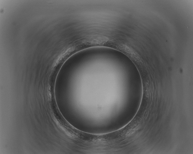 X0000073930634200608181115