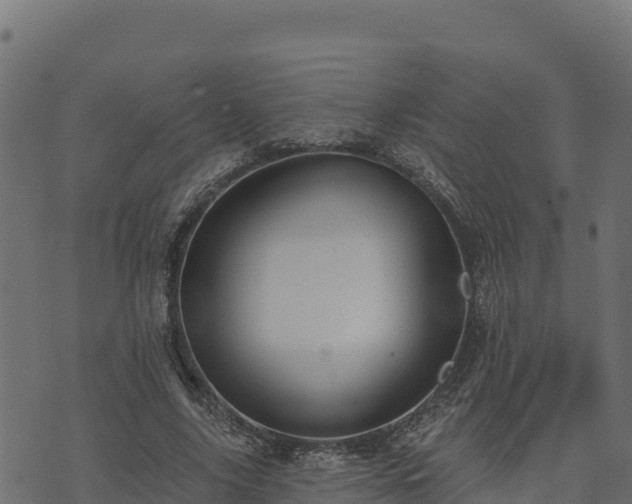 X0000073930635200608181115