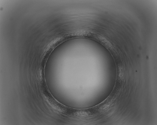 X0000073930636200608181115