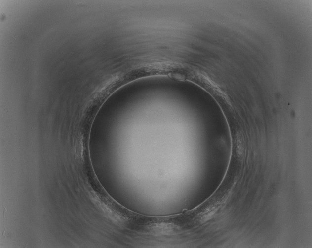 X0000073930637200608181115