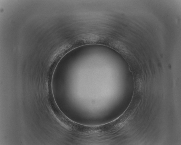 X0000073930638200608181115