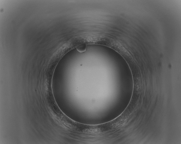 X0000073930639200608181115