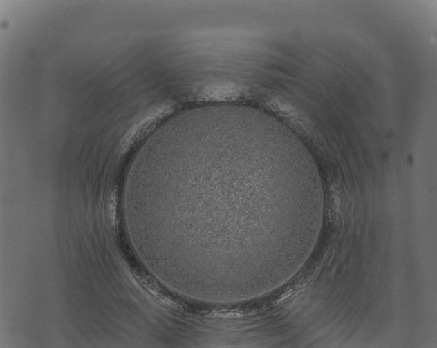 X0000073930640200608181115