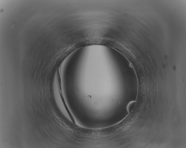 X0000073930641200608181115