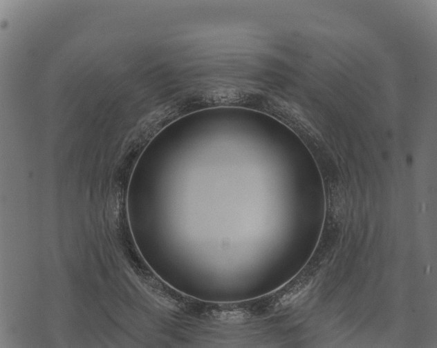 X0000073930645200608181115