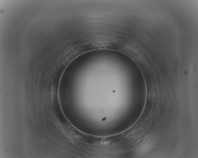 X0000073930647200608181115