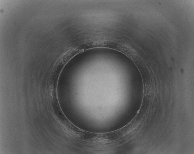 X0000073930648200608181115