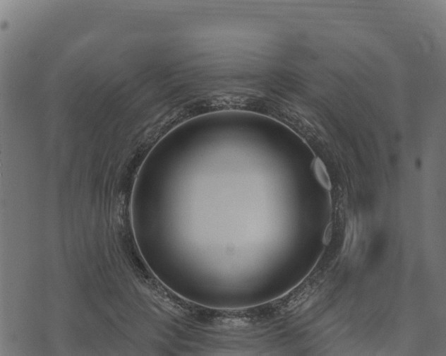 X0000073930649200608181115