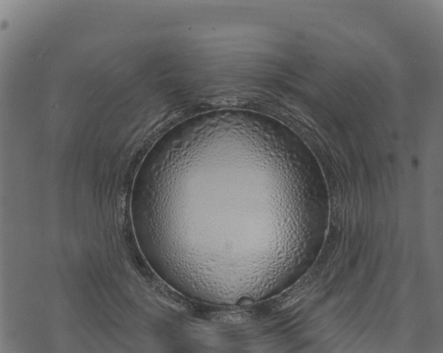 X0000073930652200608181115