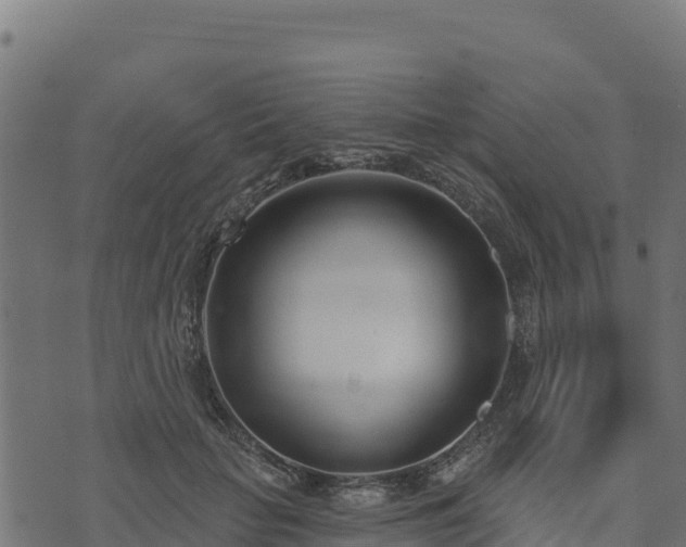 X0000073930653200608181115