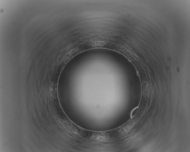 X0000073930655200608181115