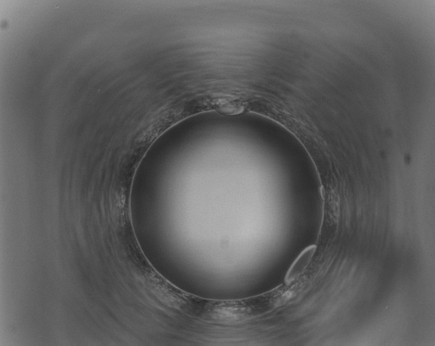 X0000073930657200608181115