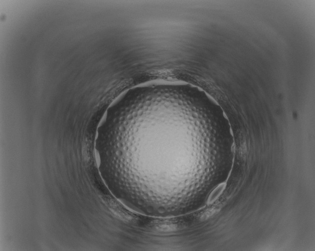 X0000073930658200608181115