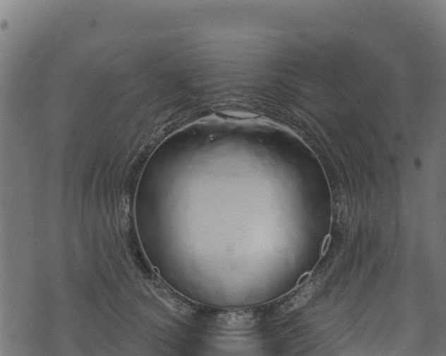 X0000073930660200608181115