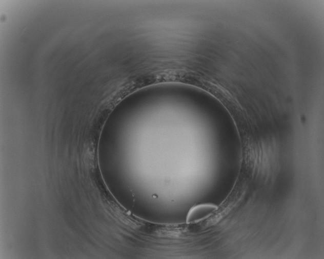 X0000073930661200608181116