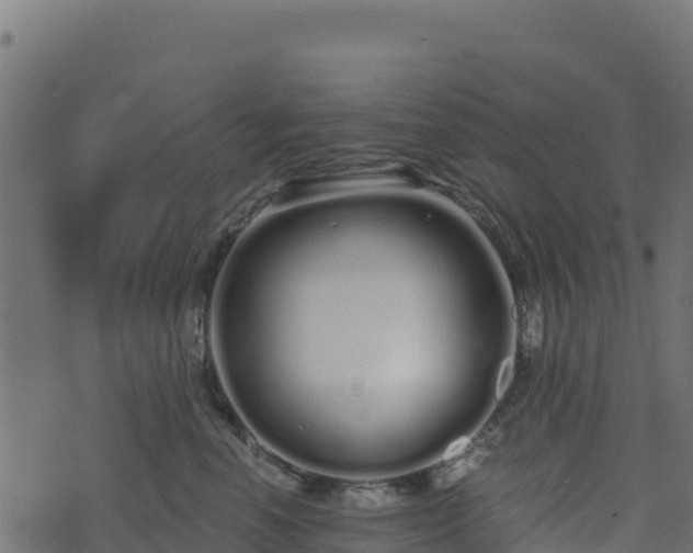 X0000073930666200608181116