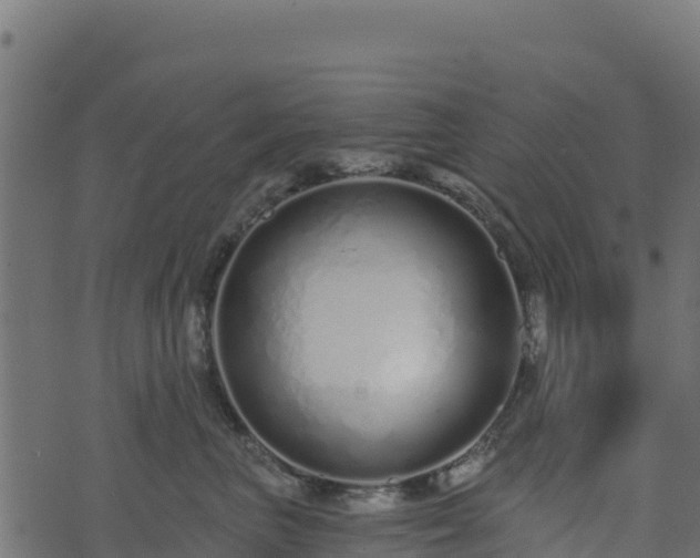 X0000073930667200608181116