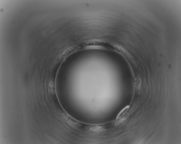 X0000073930669200608181116