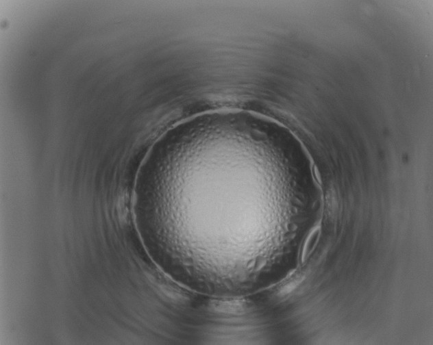 X0000073930671200608181116