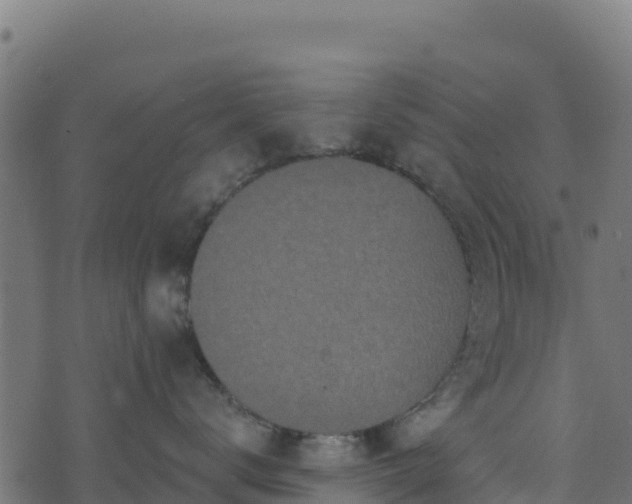 X0000073930672200608181116