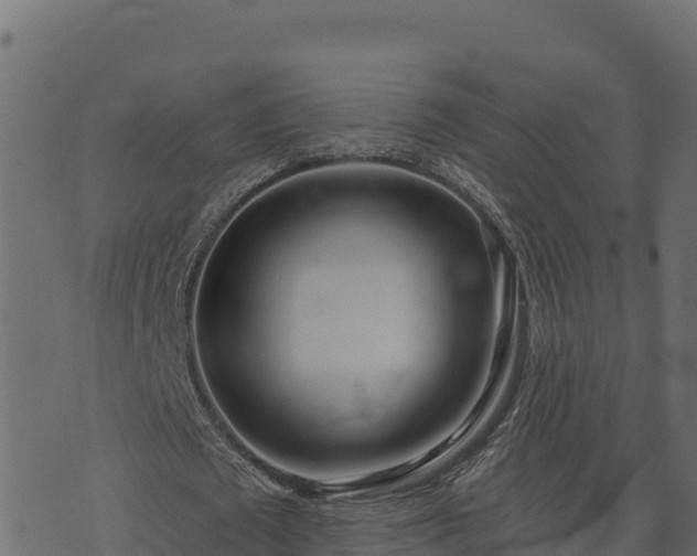 X0000073930673200608181115