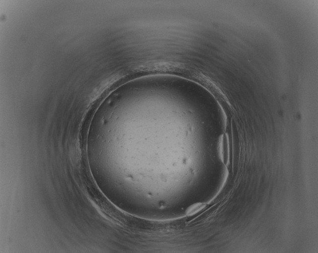 X0000073930674200608181115