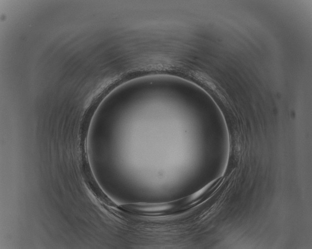 X0000073930677200608181115