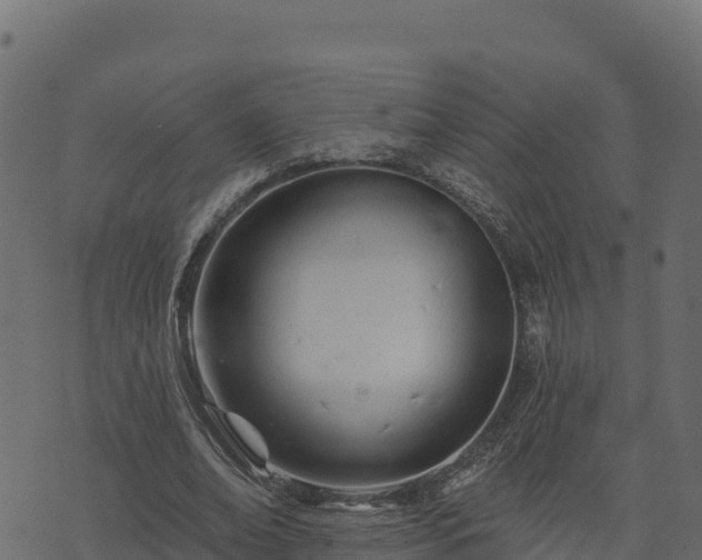 X0000073930678200608181115