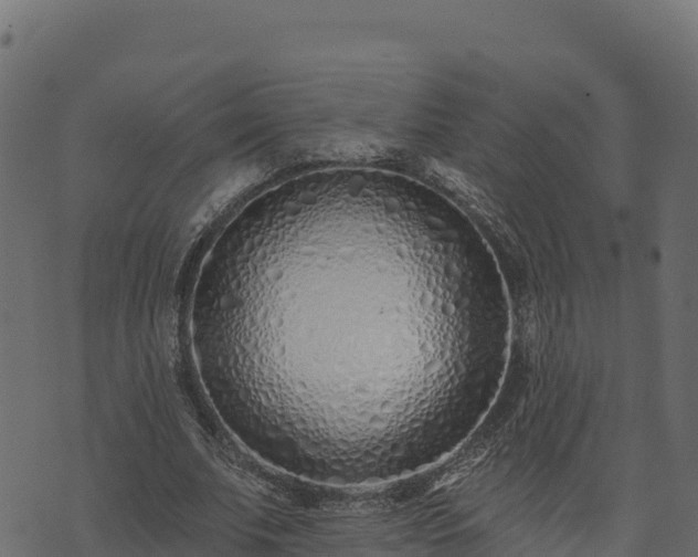 X0000073930679200608181115