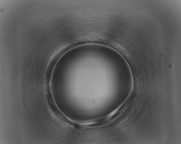 X0000073930680200608181115