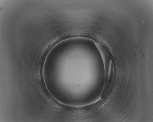 X0000073930681200608181115