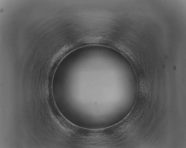 X0000073930682200608181115