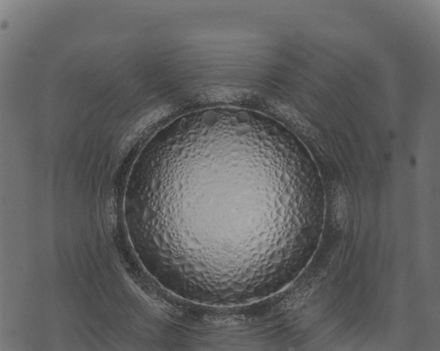 X0000073930683200608181115