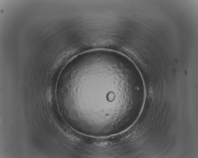 X0000073930687200608181115