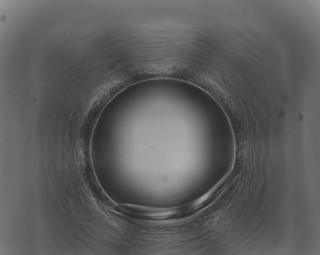 X0000073930688200608181115